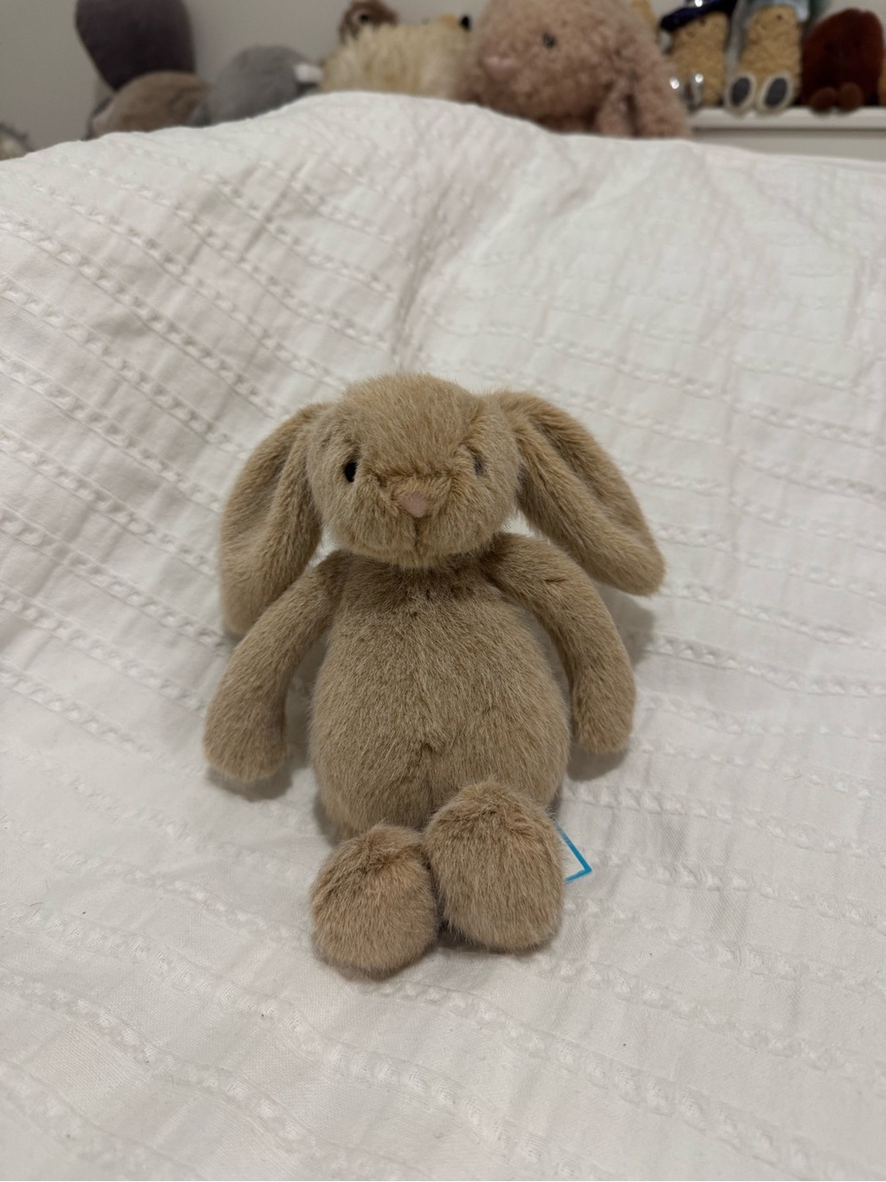 Fluffier bunny jellycat NWT